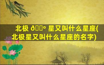 北极 🌺 星又叫什么星座(北极星又叫什么星座的名字)